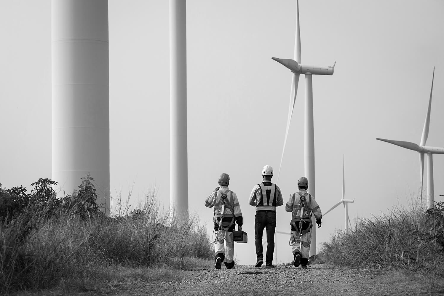 Sustainable Development